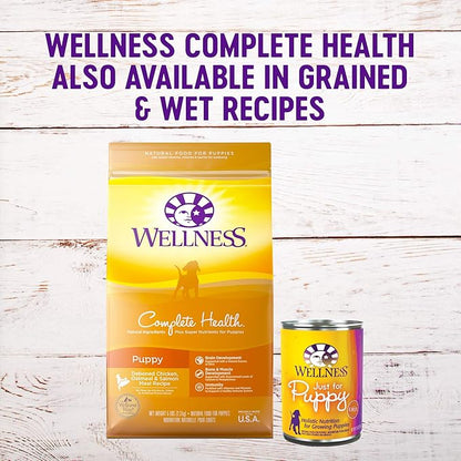 Wellness Complete Health Natural Grain Free Dry Puppy Food, Chicken & Salmon, 24-Pound Bag