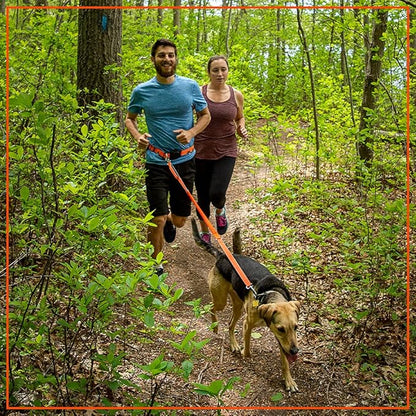 Penn-Plax Quick-Release Adventure Belt and Bungee Leash Combo – A Hands-Free Connection with Your Dog – Great for Walking, Jogging, Hiking, and Other Outdoor Activities