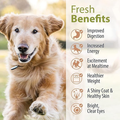 JustFoodForDogs Frozen Fresh Dog Food Sampler Human Grade Dog Food Variety Box, Complete Meal or Dog Food Topper, 18 oz (Pack of 7)