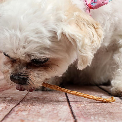 Chicken Jerky Sticks Crunchy Dog Treats Made in The USA Single Ingredient for Small to Large Dogs 75 Count 8oz