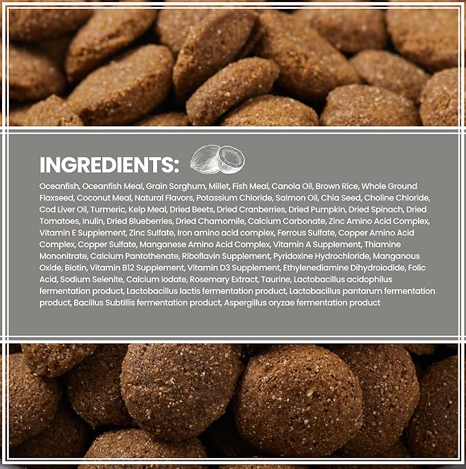 Muenster Ancient Grains Dog Food (4lb) - Ocean Fish Dry Dog Food for Large Dogs – Gluten Free, Non-GMO High Protein Dog Food - Healthy Digestive Dog Kibble for All Life Stages