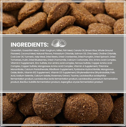 Muenster Ancient Grains Dog Food (4lb) - Ocean Fish Dry Dog Food for Large Dogs – Gluten Free, Non-GMO High Protein Dog Food - Healthy Digestive Dog Kibble for All Life Stages