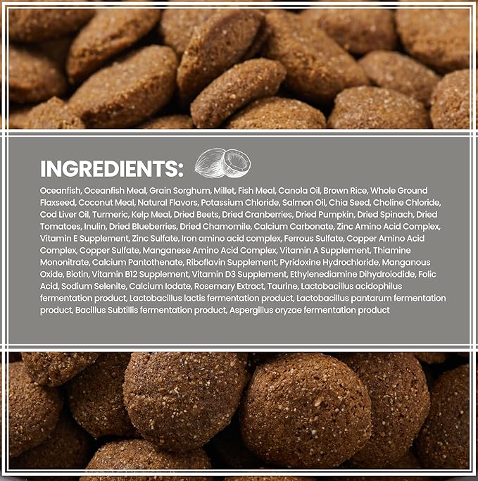 Muenster Ancient Grains Dog Food (22lb) - Ocean Fish Dry Dog Food 22 lb Bag – Gluten Free, Non-GMO High Protein Dog Food - Healthy Digestive Dog Kibble for All Life Stages