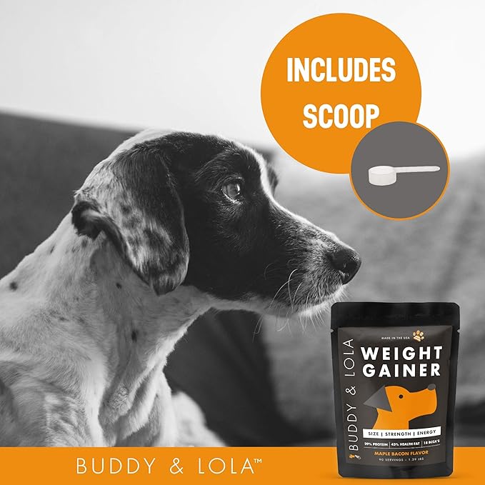 Buddy & Lola Dog Weight Gainer - Dog Supplement for Weight Gain - Dog Protien Powder for Max Muscle Builder, High Calorie supplement for All Dogs & Breeds inc Bully. Pro Food Topper - Made in The USA