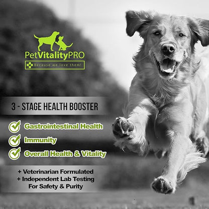 Probiotics for Dogs with Natural Digestive Enzymes ● 4 Bill CFUs/2 Soft Chews ● Dog Diarrhea Upset Stomach Yeast Gas Bad Breath Immunity Allergies Skin Itching Hot Spots ● 60 Count