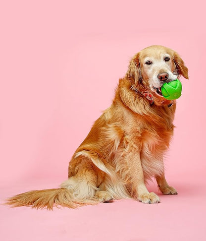 Hartz DuraPlay Ball Squeaky Latex Dog Toy, Neon Green, Neon Pink & Neon Orange, Large 3 Count Pack