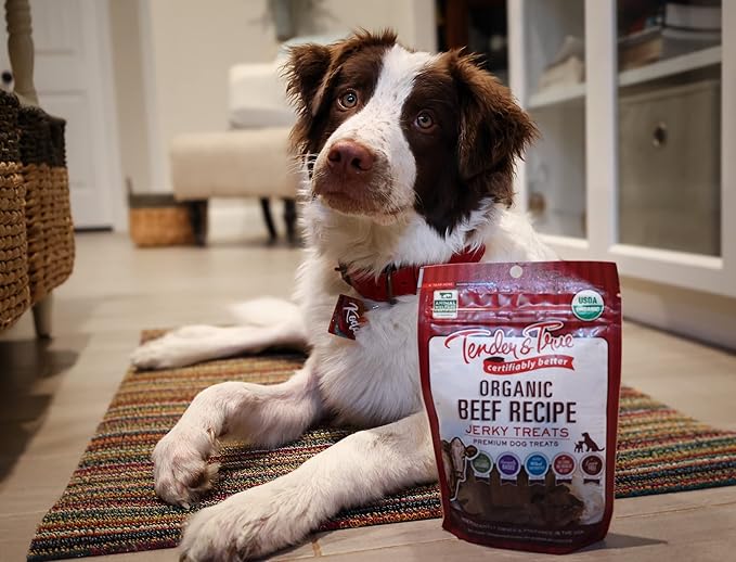 Tender & True Pet Nutrition Organic Beef Jerky Treats (71005)