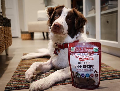 Tender & True Pet Nutrition Organic Beef Jerky Treats (71005)