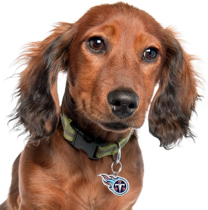 NFL Tennessee Titans Engraving Pet ID Tags in 32 Team Logo Shapes Personalized Dog Tags and Cat Tags with 3 Lines of Customizable Text for Tracking & Safety. Stainless Steel Pet ID Tracking Tags