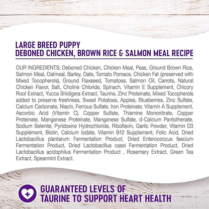Wellness Complete Health Large Breed Dry Dog Puppy Food with Grains, Natural Ingredients, Made in USA with Real Meat (Puppy, Chicken, Salmon & Rice, 30-Pound Bag)