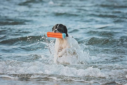 Chuckit Amphibious Bumper Fetch and Float Dog Toy, Medium (Assorted Colors)