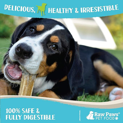 Raw Paws Compressed Rawhide Dog Chew Variety Pack, 10 Pack - 10" Compressed Rawhide Sticks & 10" Bones - Large Dog Bones for Aggressive Chewers - Pressed Rawhide Dog Bones Value Pack - Large Dog Chews