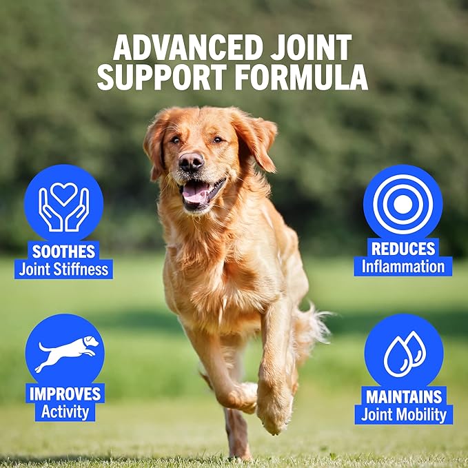 Hip and Joint Supplement for Dogs 300 Tablets | Formulated with Glucosamine & Chondroitin for Dogs | Proven to Improve Mobility & Increase Flexibility | All Breeds & Sizes