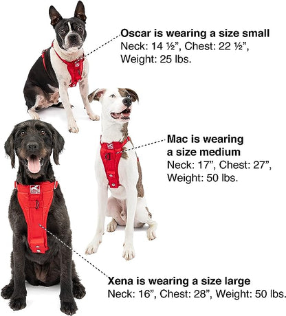 Kurgo Tru-Fit Enhanced Strength Dog Harness - Crash Tested Car Safety Harness for Dogs, No Pull Dog Harness, includes Pet Safety Seat Belt, Steel Nesting Buckles (Charcoal, Small)