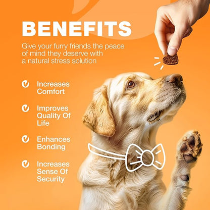 Dog Allergy Relief Chews - Itch Relief for Dogs - Dog Allergy Chews - US Formulated Dog Itching Skin Relief with Salmon Oil - Anti Itch, Immune Health, Seasonal Allergies & Hot Spots Support Treats