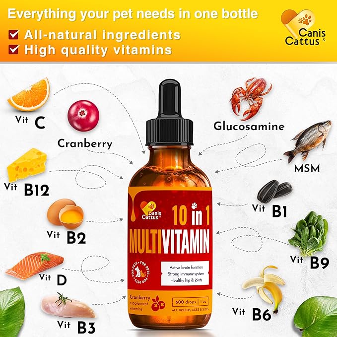 Vitamins for Dogs | Cat Vitamins | Liquid Multivitamin for Dogs | Multivitamin for Cats | Dog Vitamins Multivitamin | Cat Vitamin | Pure Ingredients | 1 oz