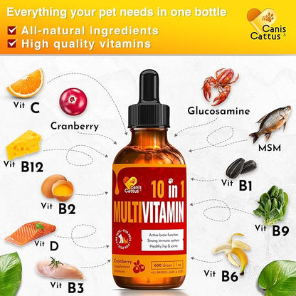 Vitamins for Dogs | Cat Vitamins | Liquid Multivitamin for Dogs | Multivitamin for Cats | Dog Vitamins Multivitamin | Cat Vitamin | Pure Ingredients | 1 oz