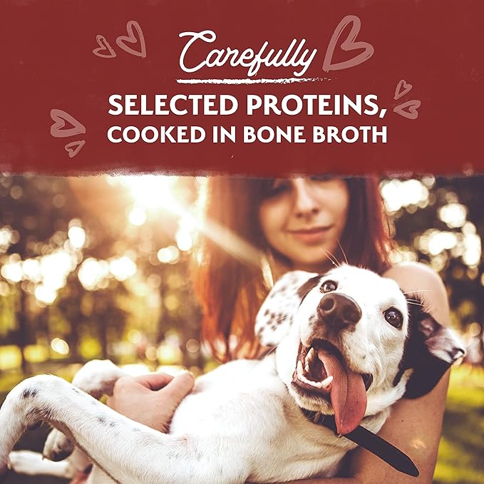 Natural Balance Limited Ingredient Adult Grain-Free Stew Wet Dog Food, Beef with Potatoes & Pumpkin, 11 Ounce (Pack of 12)