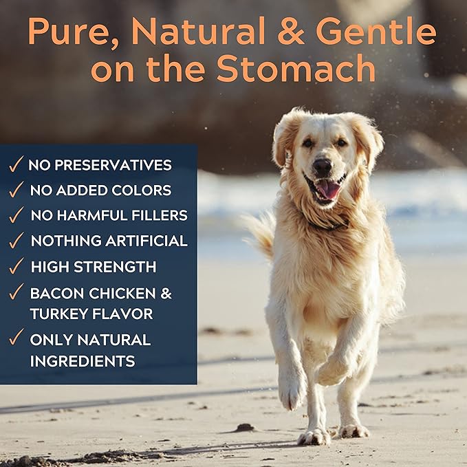 Pure Dogs Hip & Joint Supplement for Large Breed & Small Breed - Dog Joint Pain Relief Chews for Function & Mobility - Glucosamine Chondroitin for Dogs Gut & Digestive Support - 90 Dog Joint Chews
