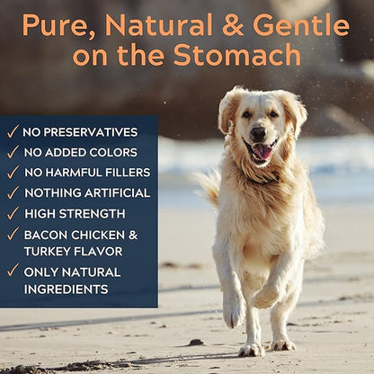 Pure Dogs Hip & Joint Supplement for Large Breed & Small Breed - Dog Joint Pain Relief Chews for Function & Mobility - Glucosamine Chondroitin for Dogs Gut & Digestive Support - 90 Dog Joint Chews