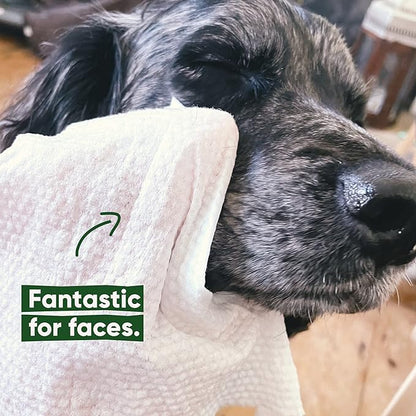 Beco Bamboo Dog Wipes, Thick Grooming Wipes For Easy Pet Cleanup, Home Compostable, 80 Count (Coconut)