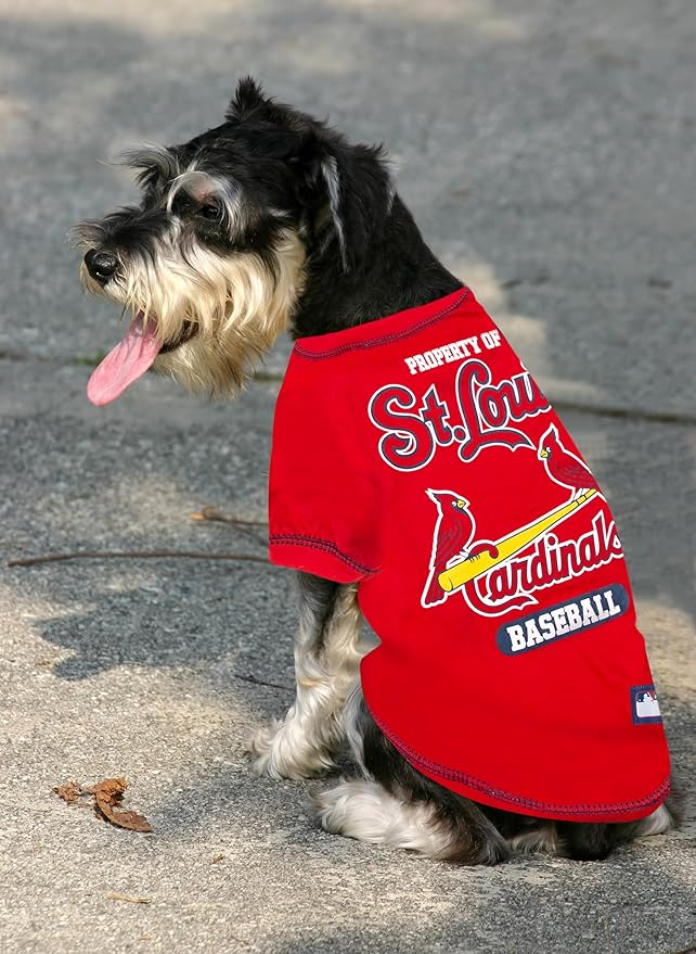 MLB Saint Louis Cardinals Dog T-Shirt, X-Large. - Licensed Shirt for Pets Team Colored with Team Logos. - Premium Stretchable Materials for The Comfort of Your Dog & cat.