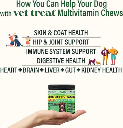 Dog Multivitamin Chewable with Glucosamine -Made in USA- Puppy & Senior Supplement - 120 Treats - Dog Vitamins and Supplements - Skin, Heart, Immunity, Hip & Joint Support + Salmon Oil + Probiotics