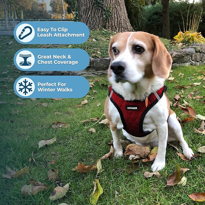 Voyager Step-In Plush Dog Harness – Soft Plush, Step In Vest Harness for Small and Medium Dogs by Best Pet Supplies - Harness (Red Plush), XS (Chest: 13 - 14.5")
