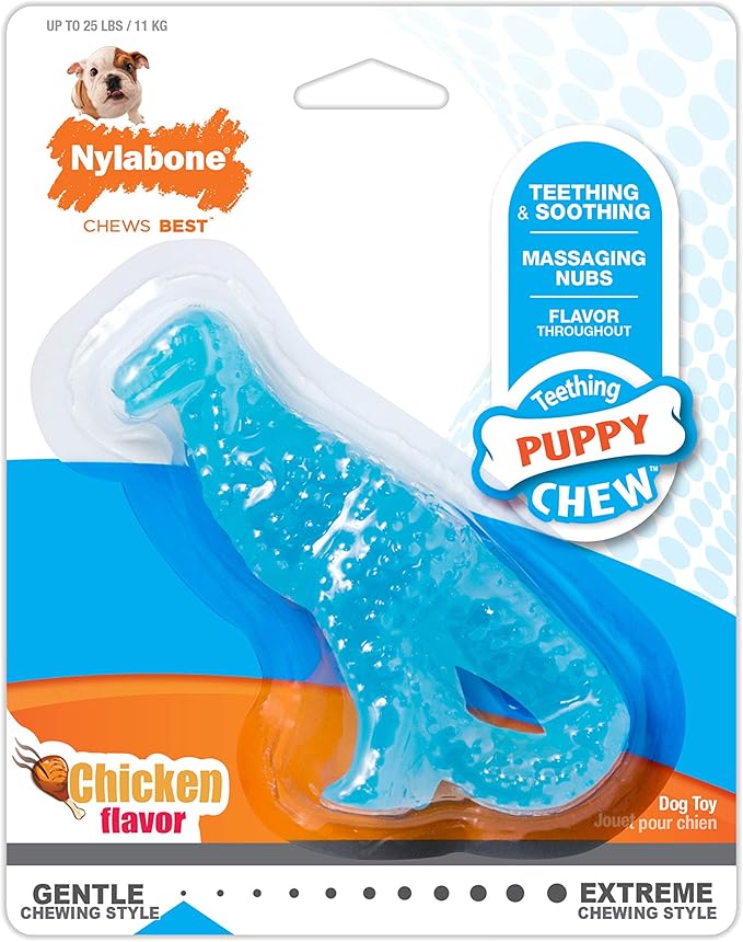 Nylabone Dental Dinosaur Puppy Chew Toy - Puppy Chew Toy for Teething - Puppy Supplies - Chicken Flavor, Small/Regular (1 Count)