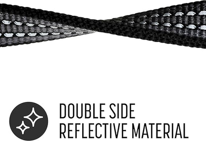 Franklin Pet Supply Nylon Dog Leash – Reflective – Comfort Fit – Neoprene Handle – 6 Foot – Dog Training – Walking – Black