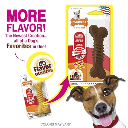 Nylabone Power Chew Textured Bone Chew Toy, Dog Toys for Aggressive Chewers, Flavor Medley, Small/Regular (1 Count)