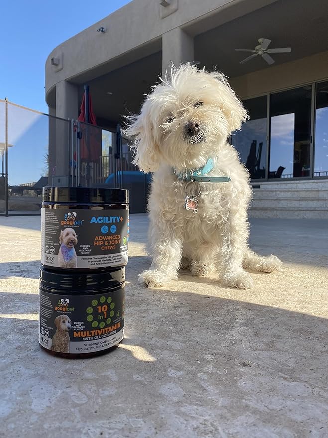 Googipet Premium 10 in 1 Dog Vitamins Multivitamin Chewable w/Dog Probiotics for Gut Health, Dog Vitamins and Supplements w/Vitamin C & Glucosamine for Joint Support (Chicken & Vegetable Flavor)