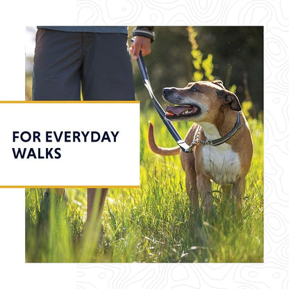 Ruffwear, Chain Reaction Dog Collar, Martingale Style for On-Leash Walking, Granite Gray, 20"-26"
