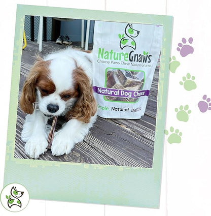 Nature Gnaws Small Bully Sticks for Dogs - Premium Natural Beef Dental Bones - Long Lasting Dog Chew Treats for Small Dogs & Puppies - Rawhide Free 15 Count (Pack of 1)