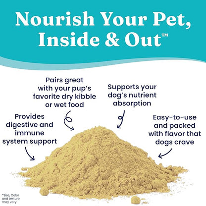 Solid Gold Dog Food Seasoning for Picky Eaters - Nutrientboost Dog Food Topper Shaker Appetite Enhancer for Dogs Pumpkin Flavor - Contains Proteins & Amino Acids to Promote Digestion & Immunity - 2 Ct