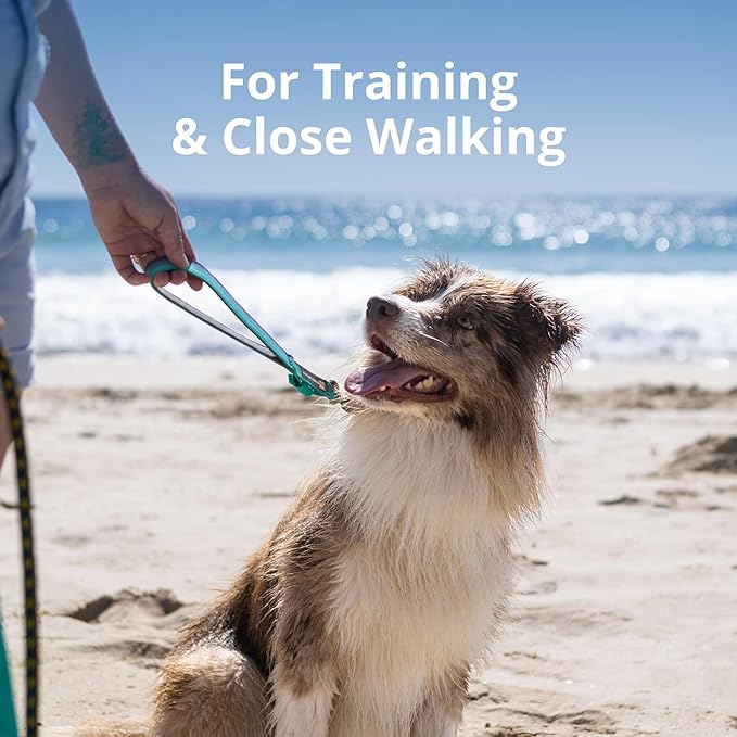 Ruffwear, Front Range Short Traffic Leash with Padded Handle, 15-inch (38cm) Durable Short Dog Lead for Training and Walking, Basalt Gray