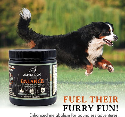 Balance Probiotic Blend for Dogs by Alpha Dog Nutrition