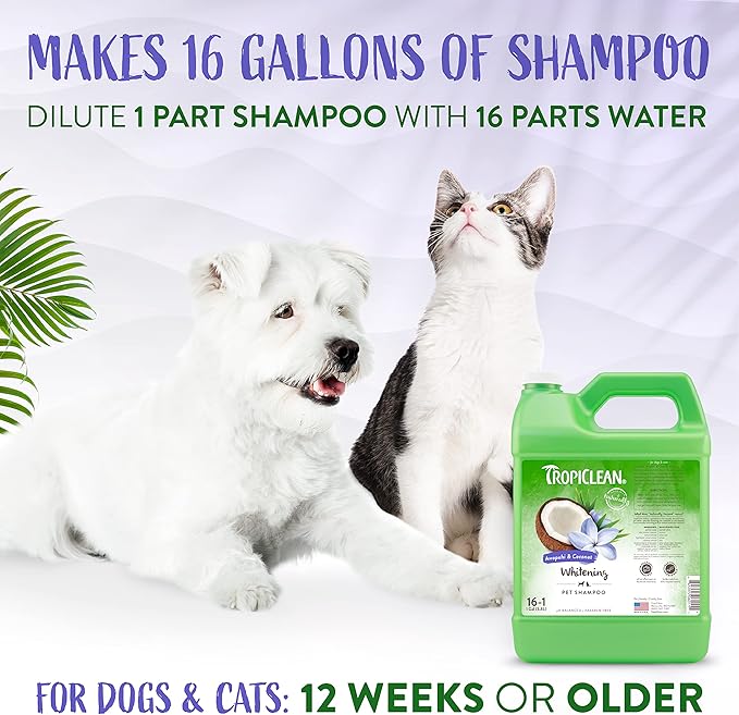 TropiClean Awapuhi Coconut Whitening Dog Shampoo for White Coats & All Coat Types | Natural Pet Shampoo Derived from Natural Ingredients | Cat Friendly | Made in the USA | 1 gal.