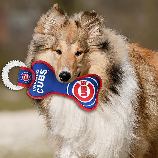 MLB Chicago Cubs Bone Shaped Dental Dog TUG Toy with Squeaker. Tough PET Toy for Healthy Fun, Teething, and Cleaning pet's Teeth and Gum.