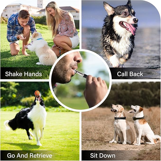 Dog Training Kit include Dog Training Clicker with Wrist Strap, Dog Whistle with Black Strap Lanyard, Dog Flying Discs, Dog Toy Balls, Suitable for Small Medium Dogs Training Tools (dark-colored)