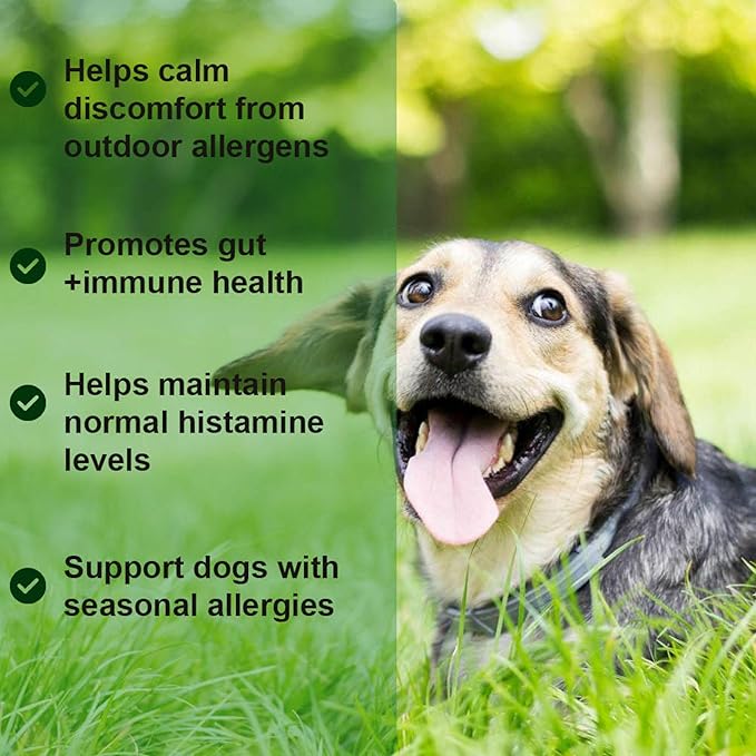 Allergy Relief Chews: Soothe Itchy Dogs with Immunity Support – Dog Allergy Chews, Probiotics for Dogs, Seasonal Allergies, Skin and Coat Supplement - 60 Tasty Bites, Brown