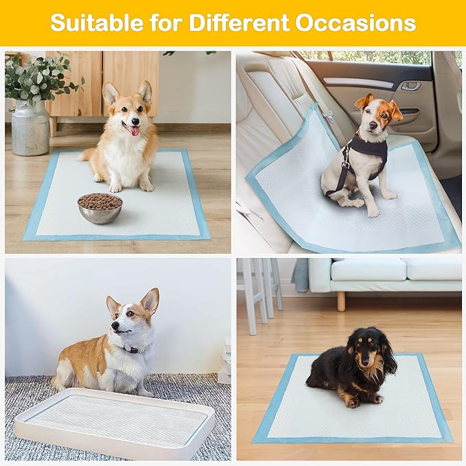 Sted Puppy Pads Dog Pee Pads 23"x23", Puppy Pee Pads for Dogs, 6 Layers Thicker Dog Pee Pads, Quickly Absorbs & Leak-Proof Dog Pads, Disposable Potty Pads for Dogs Cats, Doggie Pee Pads, 100Ct
