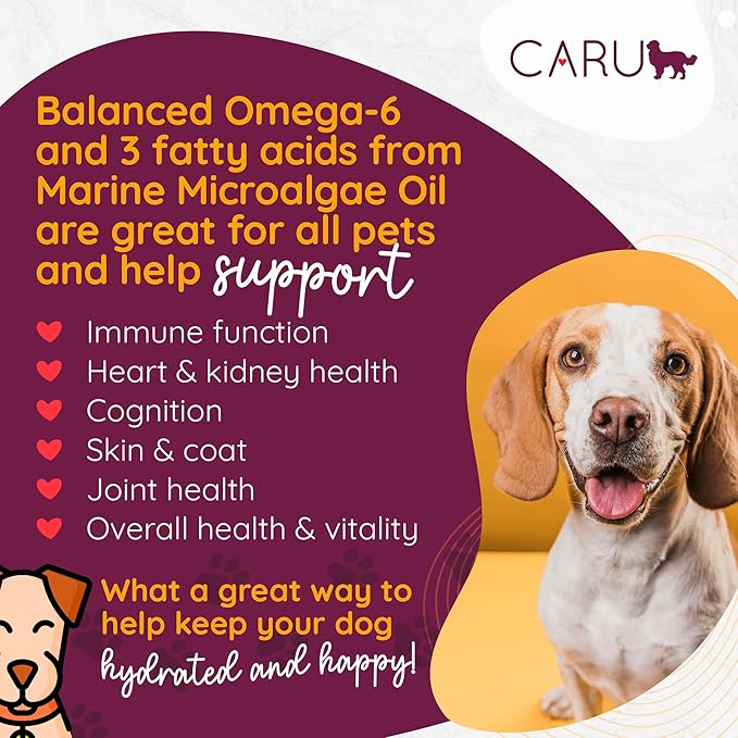 Caru - Daily Dish Turkey Stew - Healthy Functional Wet Dog Food or Food Topper - 12 oz Cartons - Pack of 4