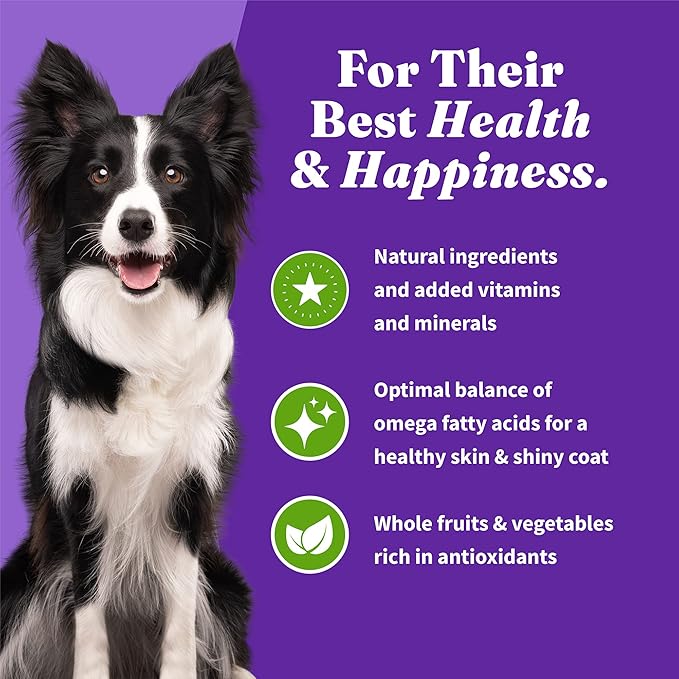 Halo Holistic Plant-Based Recipe With Superfoods, Complete Digestive Health, Vegan Dry Dog Food Bag, Adult Formula, 10-lb Bag