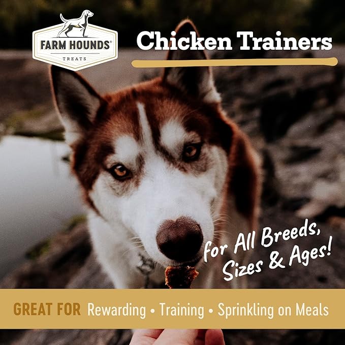 Farm Hounds Premium Bite-Sized Chicken Training Treats for Dog, 100% Made from Humanely-Raised Chickens, Dog Trainer Treats Healthy Delicious Dog Bites, Made in USA, 2-Pack