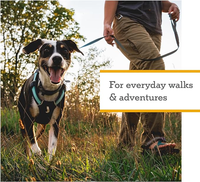 Ruffwear, Hi & Light, Everyday Lightweight Dog Harness, Trail Running, Walking, Hiking, All-Day Wear, Alpenglow Pink, Small