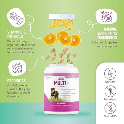 Health Extension Lifetime Multivitamin and Minerals for Dogs & Puppies, Supplements for Immune System, Digestion, Joint Support, Coat & Skin, Contains Vitamin A, D, E, K, B12, 180 Tablets