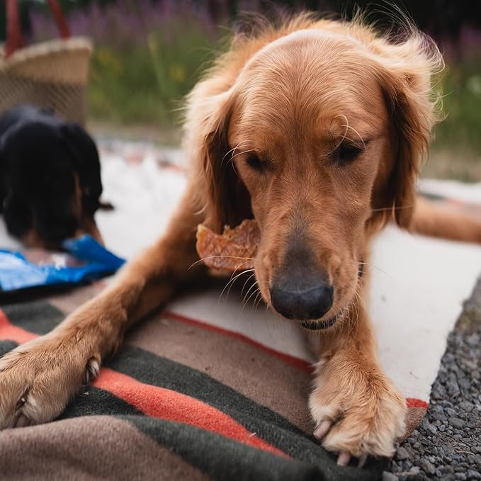 Premium Hickory Smoked Chicken Jerky Dog Treats - Dehydrated Chicken Breast Fillet Treats for Dogs - No Additives 100% Natural Protein, Chicken Jerky Treats, Dog Chews - Grain Free Dog Treats, 8 oz