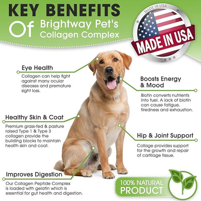 K9 Collagen PEPTIDE Complex W/BIOTIN - Hip & Joint Supplement for Dogs- Supports Healthy Joints, Skin & Coat – Helps in Recovery & Repair– 3+ Months Supply - Over 114 Servings!