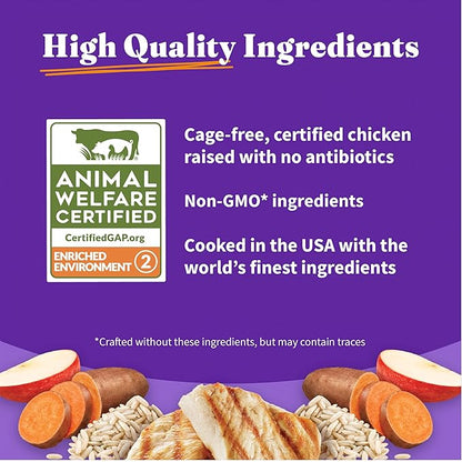 Halo Purely for Pets Holistic Dog Food, Complete Digestive Health Cage-Free Chicken and Brown Rice Recipe, Dry Dog Food Bag, Puppy Formula, 3.5-lb Bag
